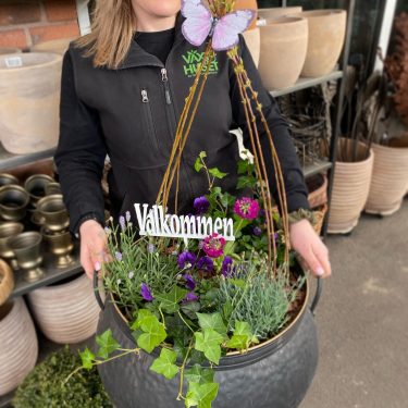 VäxtArrangemang Växthuset